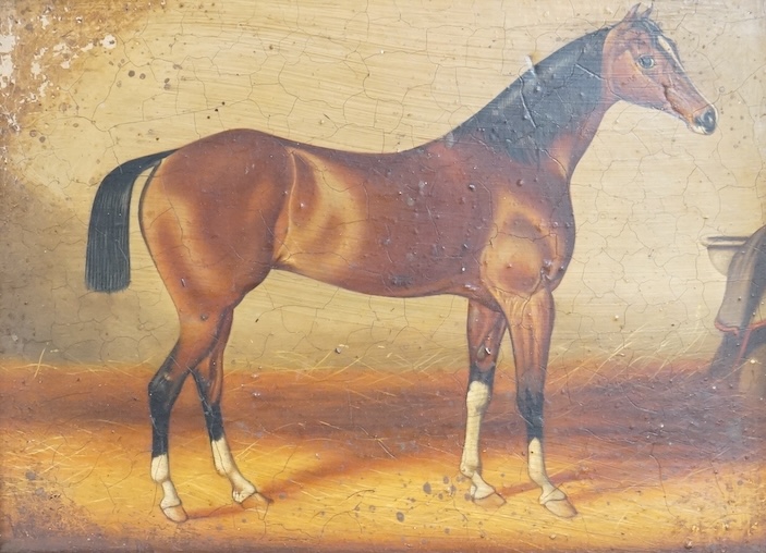 After C D Langley, Study of a bay horse, applied plaque to the ornate gilt frame, Studio M Canals stamp verso, decorative colour print on board, 18 x 24cm